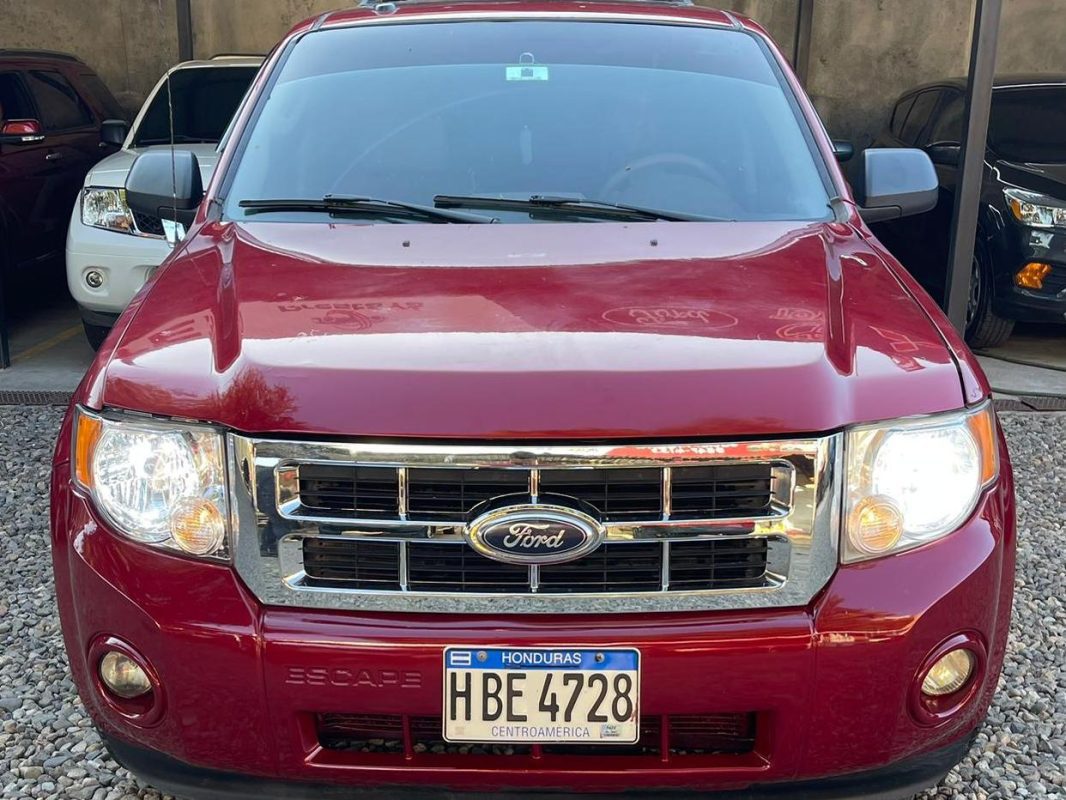 WhatsApp Image 2026-02-28 at 9.51.02 PM (3)