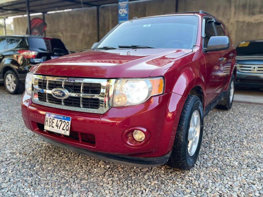 WhatsApp Image 2026-02-28 at 9.51.03 PM