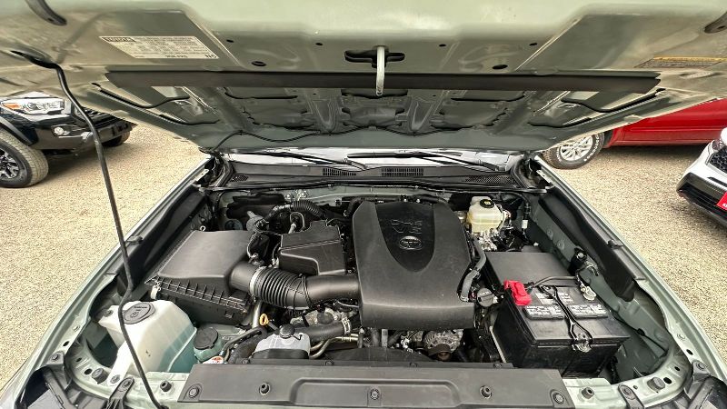 WhatsApp Image 2026-03-04 at 4.57.07 PM (1)