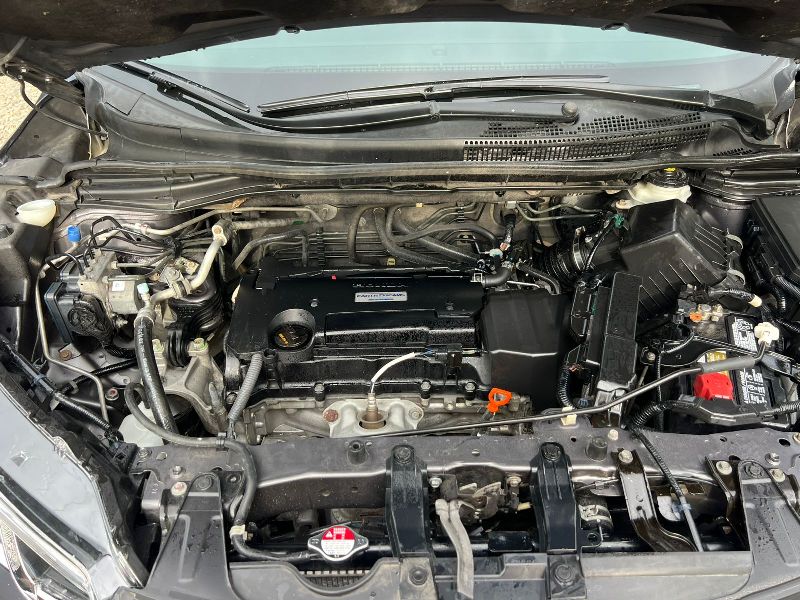 WhatsApp Image 2026-03-04 at 4.57.47 PM (2)