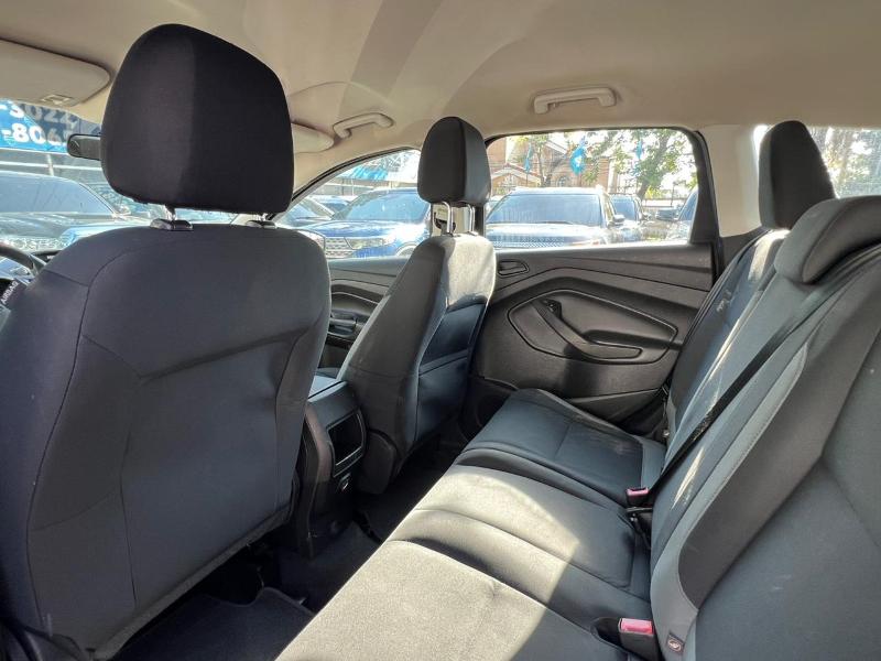 WhatsApp Image 2026-03-05 at 10.25.16 AM