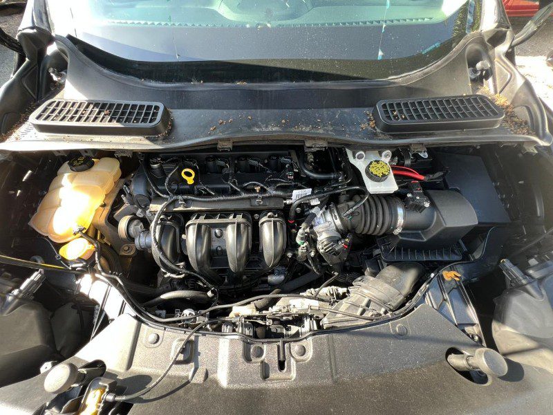 WhatsApp Image 2026-03-05 at 10.25.17 AM (1)