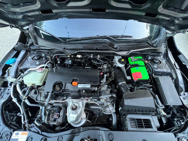 WhatsApp Image 2026-03-05 at 2.54.06 PM