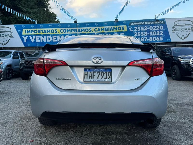 WhatsApp Image 2026-03-05 at 3.02.00 PM