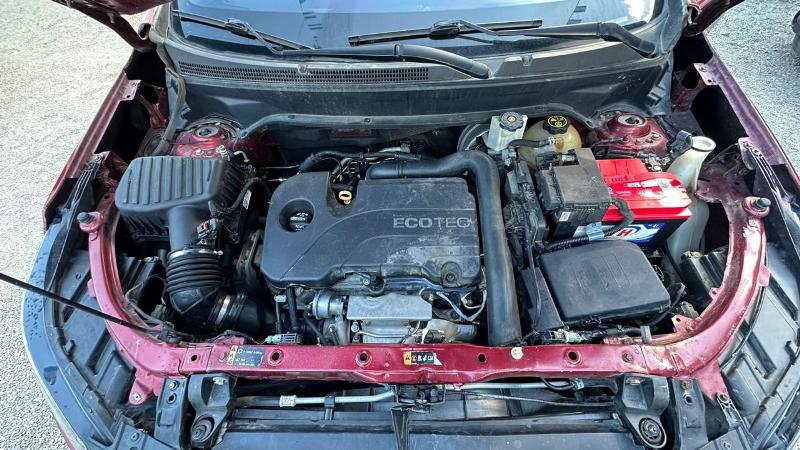 WhatsApp Image 2026-03-05 at 5.31.37 PM