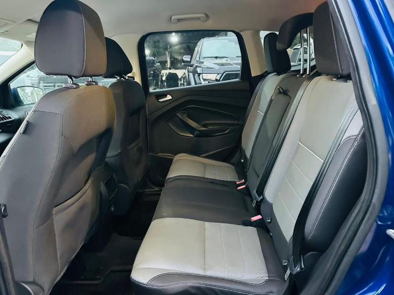 WhatsApp Image 2026-03-06 at 12.21.00 AM