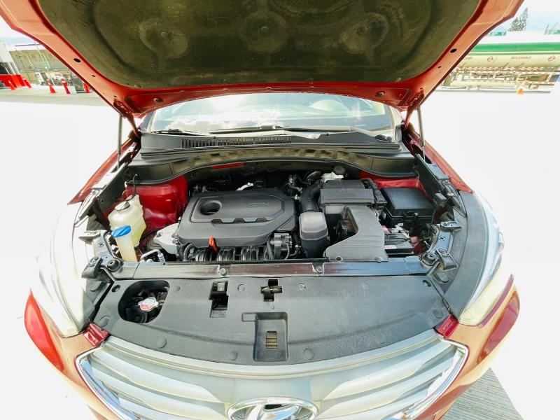 WhatsApp Image 2026-03-06 at 2.11.18 PM