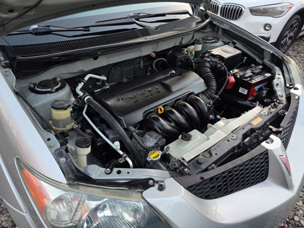 WhatsApp Image 2026-03-06 at 4.17.35 PM