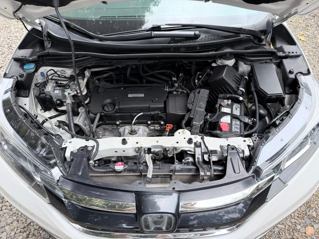 WhatsApp Image 2026-03-06 at 6.36.10 PM (6)