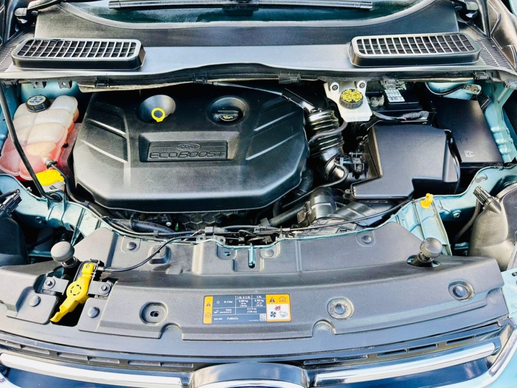 WhatsApp Image 2026-03-06 at 6.56.56 PM