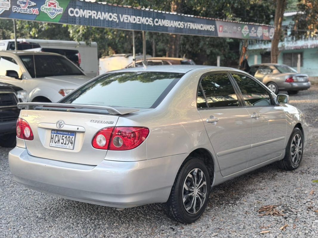 WhatsApp Image 2026-03-06 at 7.04.46 PM