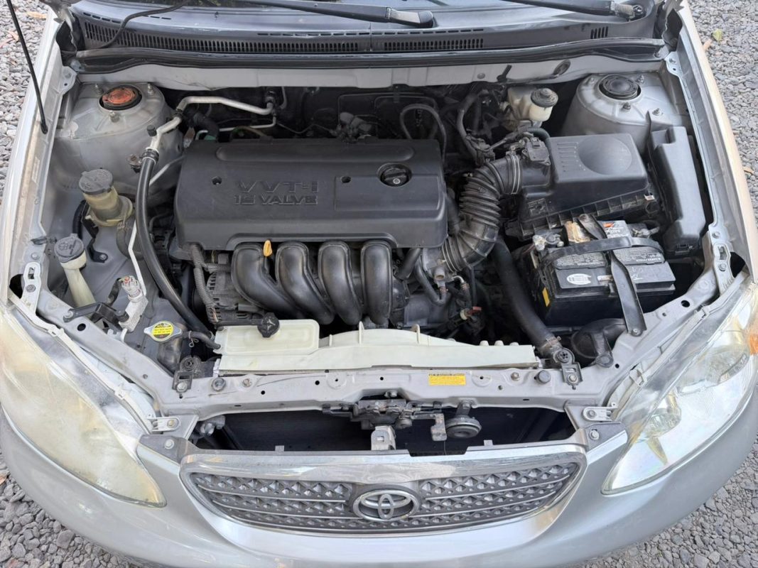 WhatsApp Image 2026-03-06 at 7.04.48 PM (1)