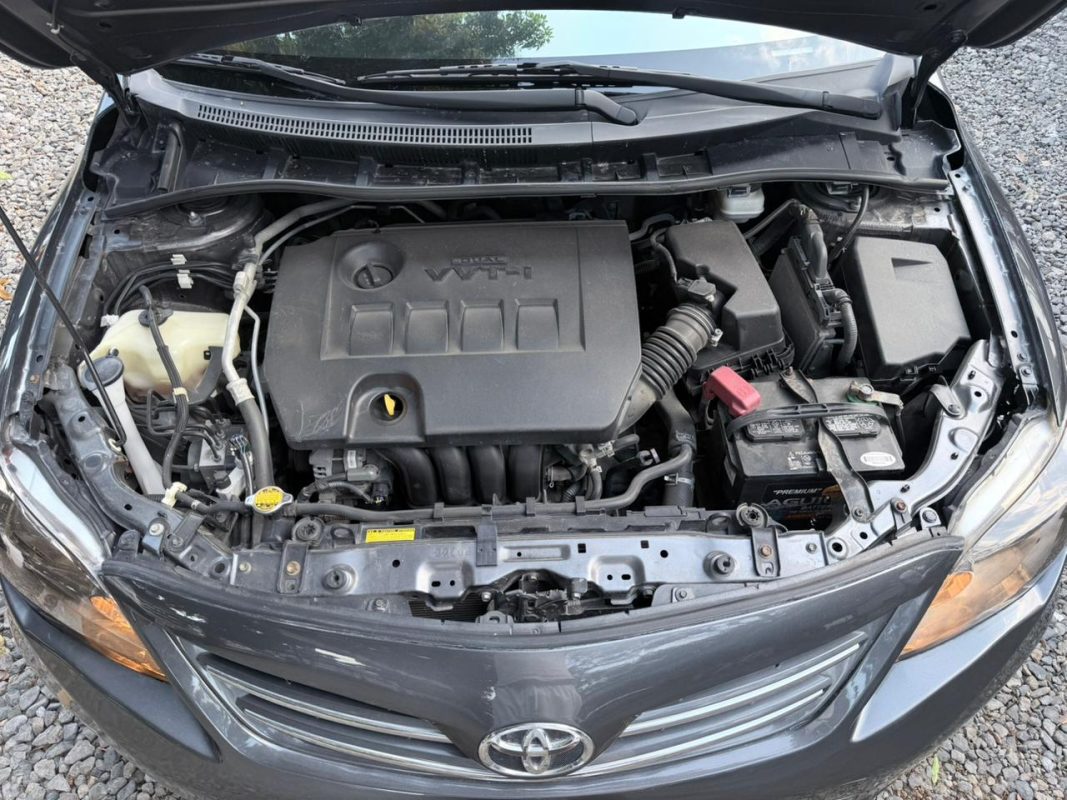 WhatsApp Image 2026-03-07 at 9.57.47 PM (3)