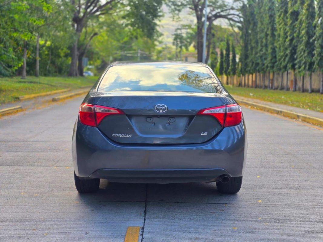 WhatsApp Image 2026-03-09 at 6.28.48 PM (1)