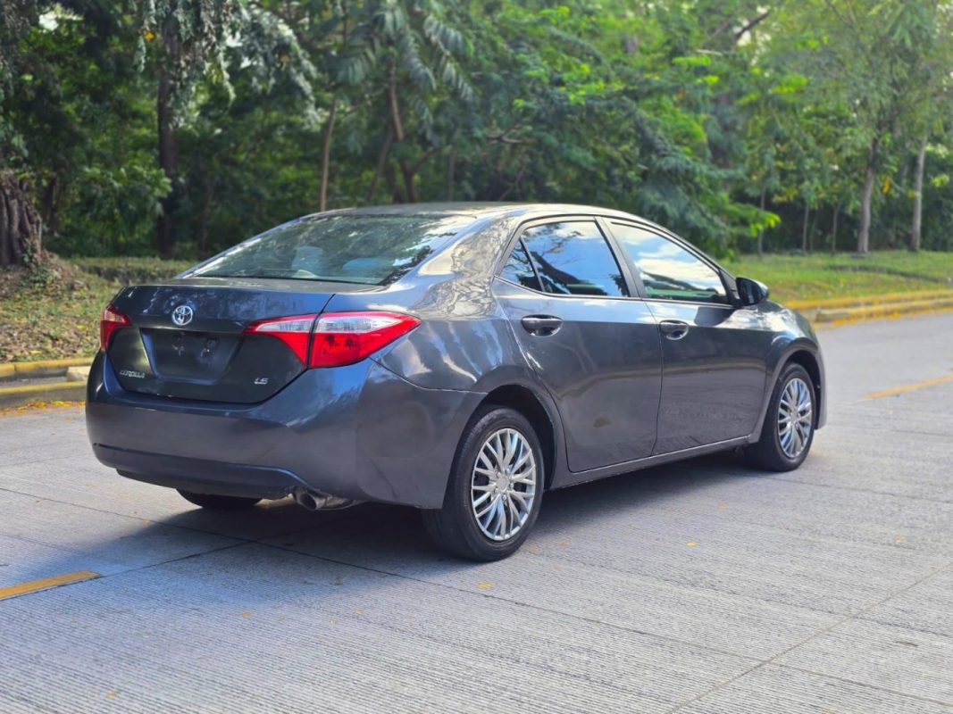 WhatsApp Image 2026-03-09 at 6.28.49 PM (1)