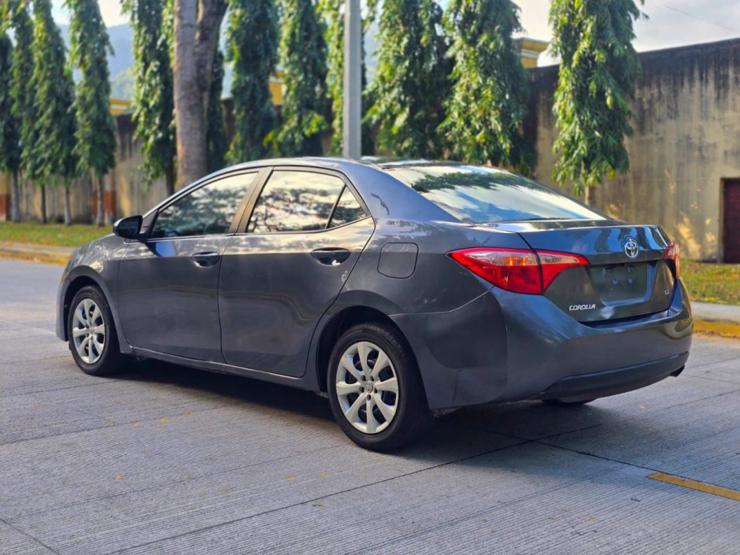 WhatsApp Image 2026-03-09 at 6.28.49 PM (2)