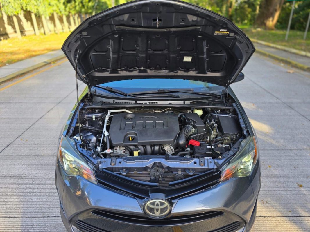 WhatsApp Image 2026-03-09 at 6.28.49 PM