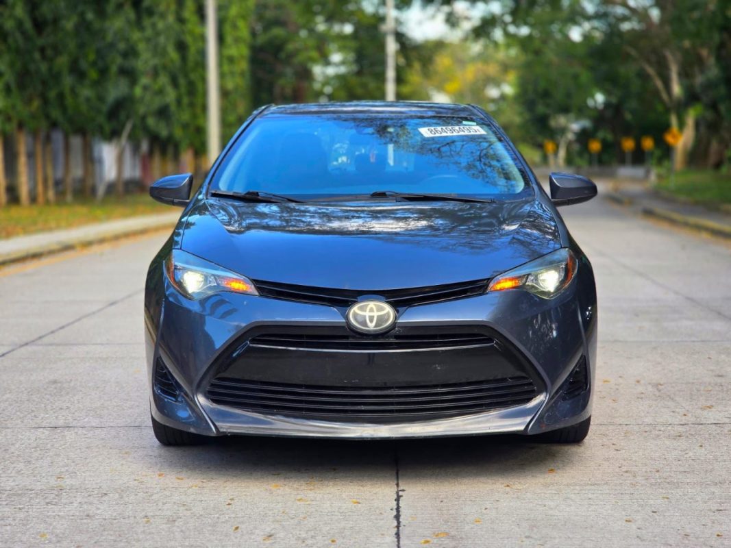 WhatsApp Image 2026-03-09 at 6.28.52 PM