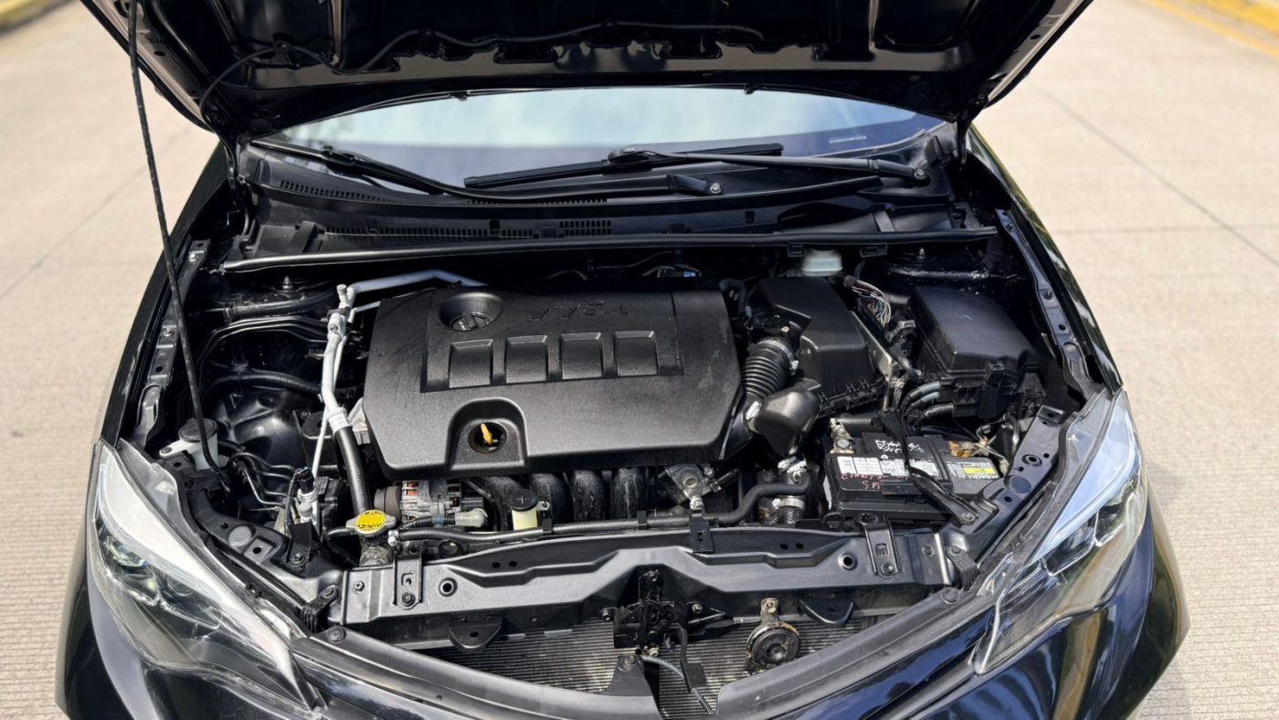 WhatsApp Image 2026-03-10 at 10.25.13 PM (3)