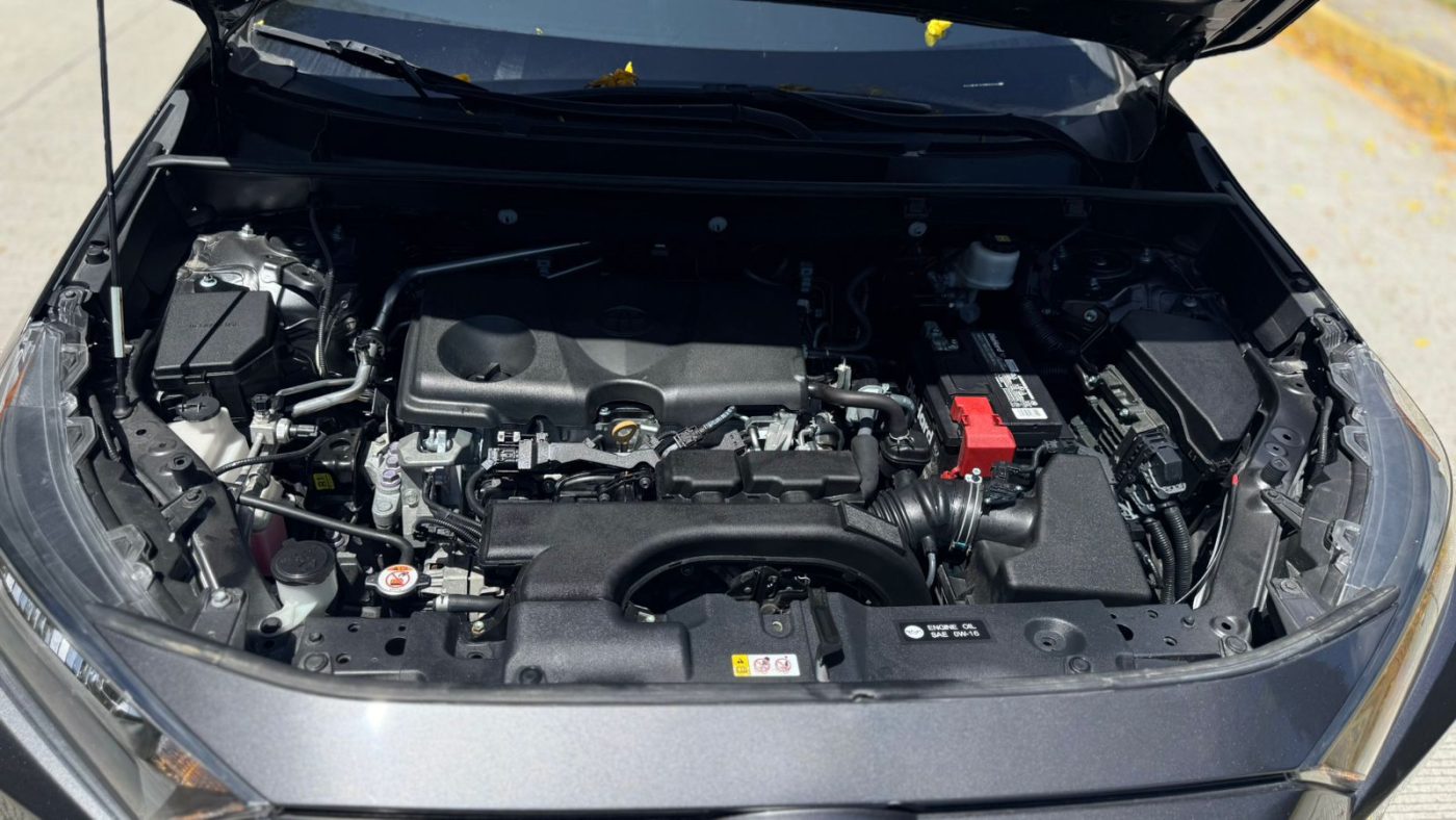 WhatsApp Image 2026-03-10 at 11.29.14 AM (2)