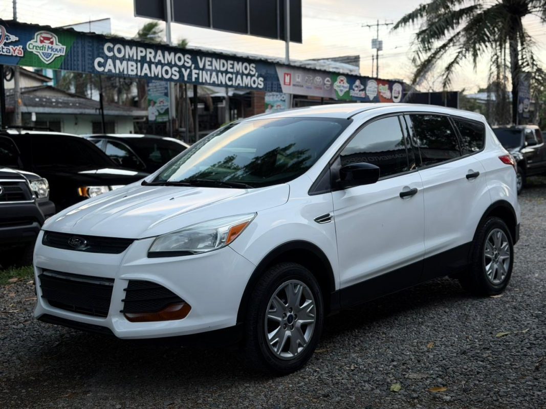 WhatsApp Image 2026-03-10 at 2.15.25 PM