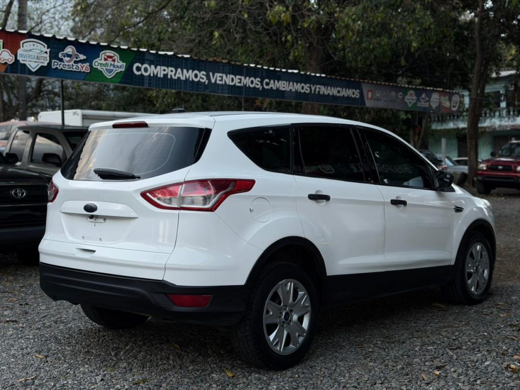 WhatsApp Image 2026-03-10 at 2.15.26 PM (2)