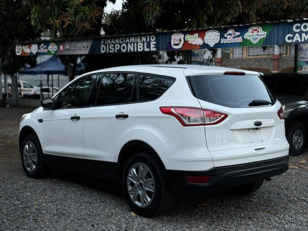 WhatsApp Image 2026-03-10 at 2.15.26 PM (3)