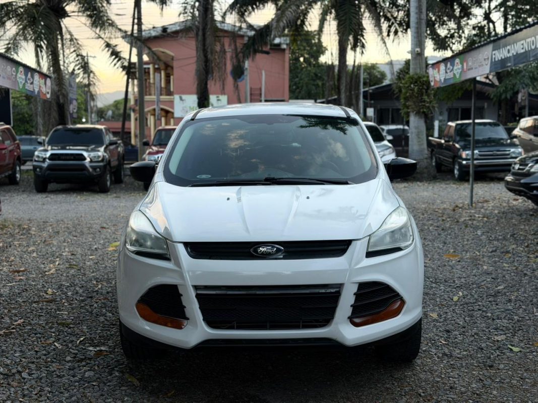 WhatsApp Image 2026-03-10 at 2.15.26 PM