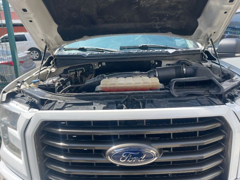 WhatsApp Image 2026-03-10 at 3.44.49 PM