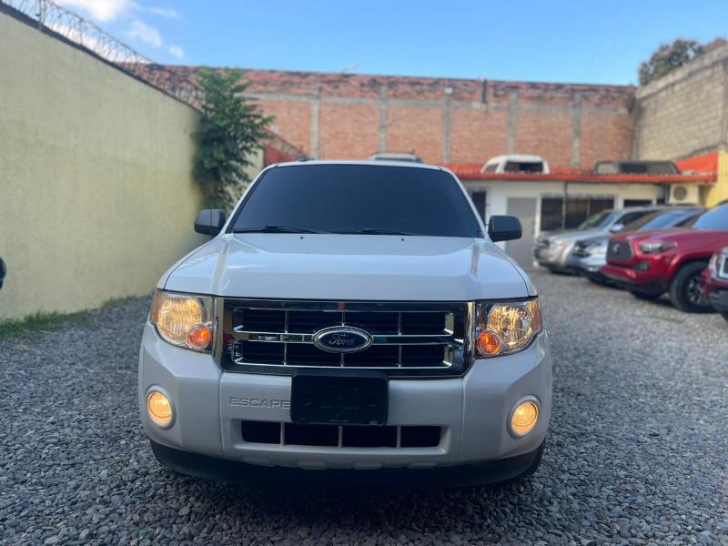 WhatsApp Image 2026-03-11 at 10.02.31 AM (1)