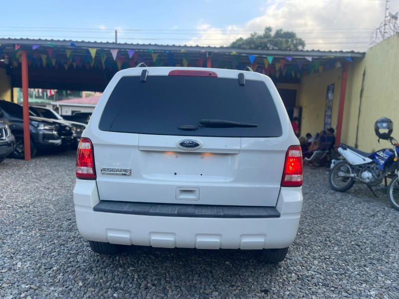 WhatsApp Image 2026-03-11 at 10.02.32 AM