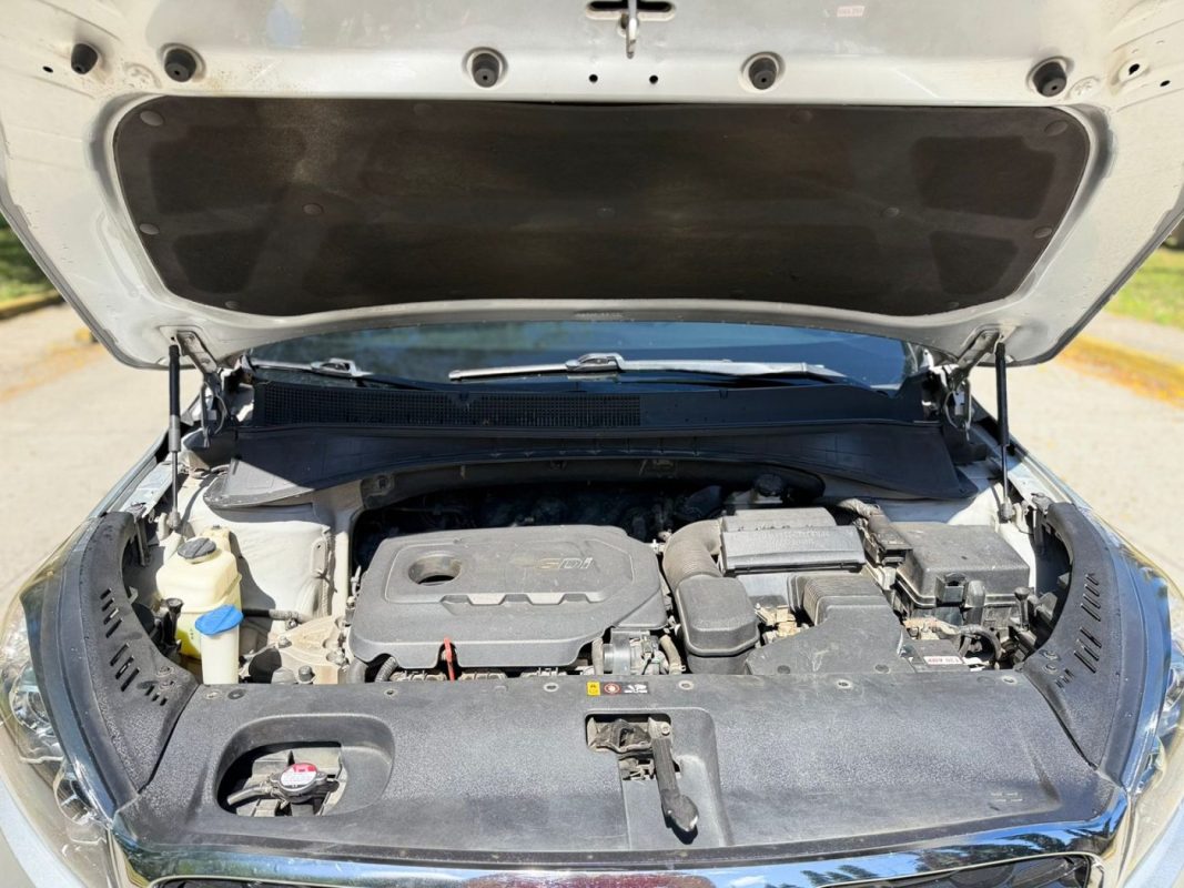 WhatsApp Image 2026-03-11 at 10.44.30 AM (2)