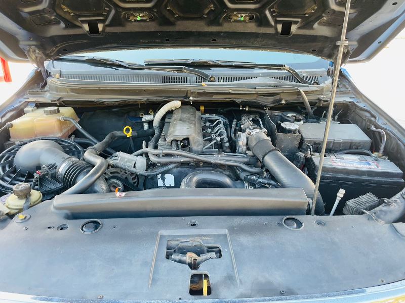 WhatsApp Image 2026-03-11 at 6.34.34 PM (1)