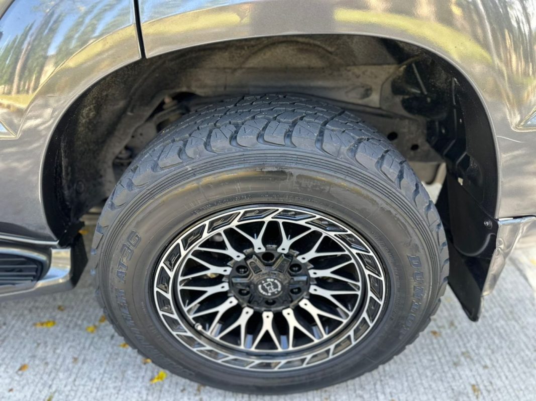 WhatsApp Image 2026-03-11 at 9.00.54 AM