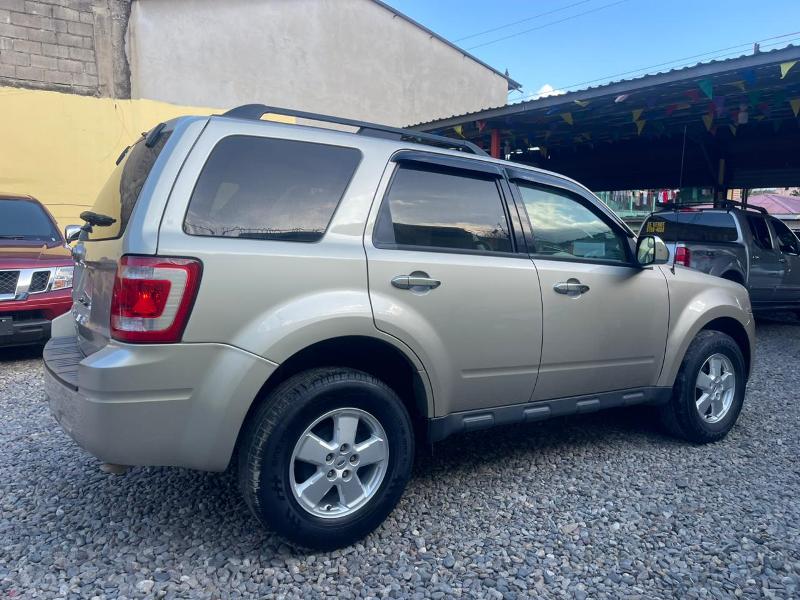 WhatsApp Image 2026-03-11 at 9.58.13 AM