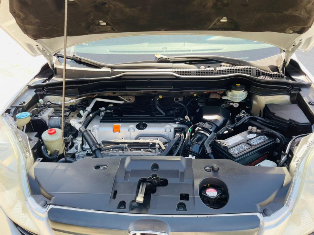 WhatsApp Image 2026-03-12 at 10.52.44 AM (1)