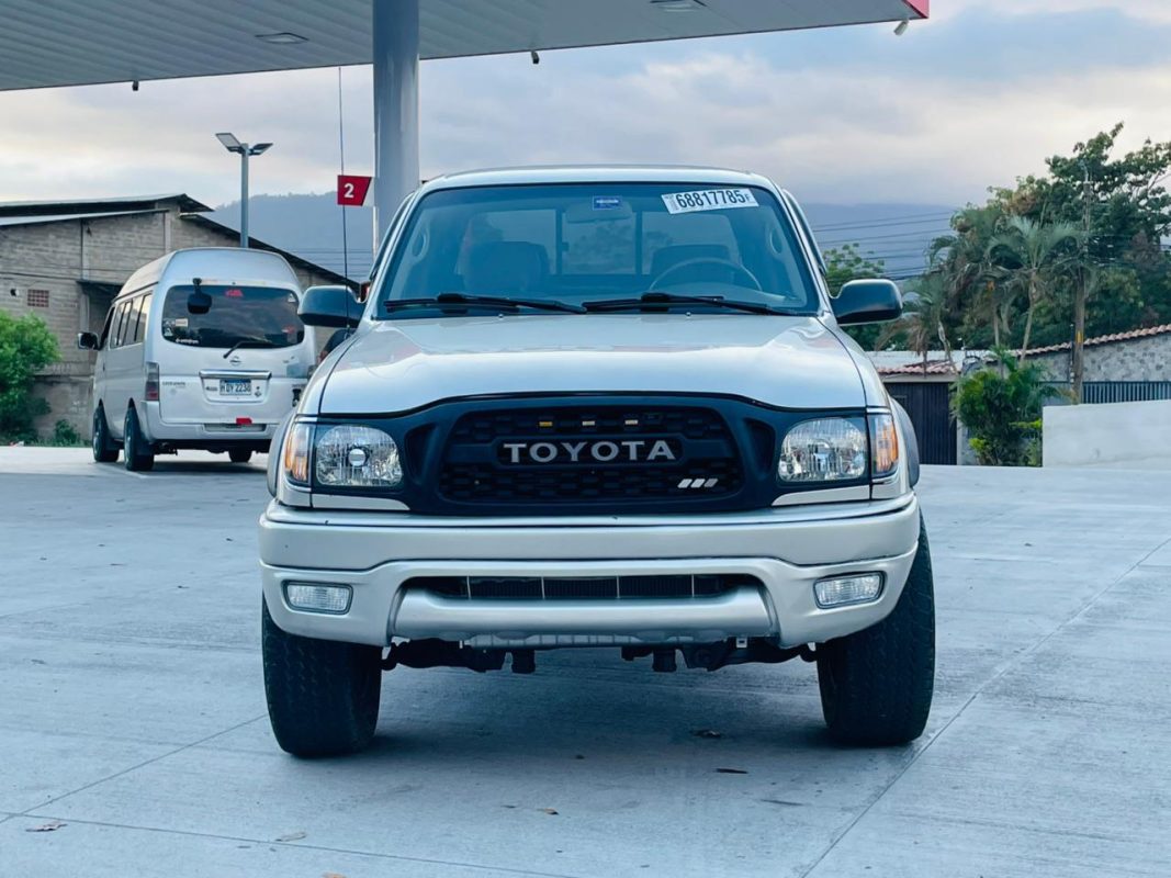 WhatsApp Image 2026-03-12 at 12.13.07 PM