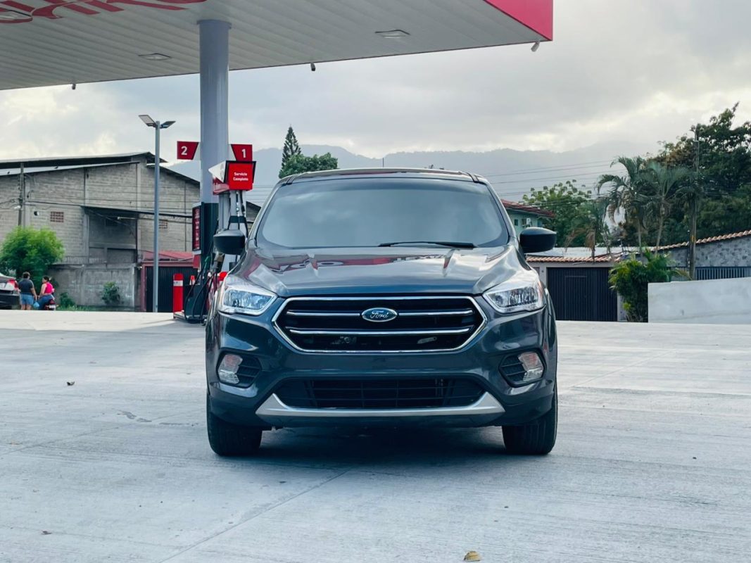 WhatsApp Image 2026-03-12 at 2.52.54 PM