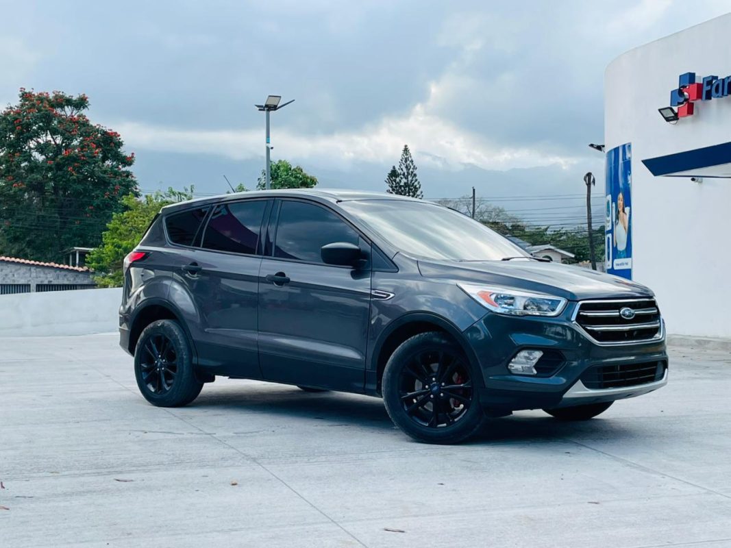 WhatsApp Image 2026-03-12 at 2.52.55 PM (3)