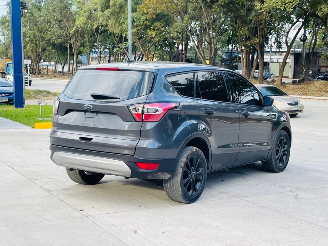 WhatsApp Image 2026-03-12 at 2.52.58 PM (4)