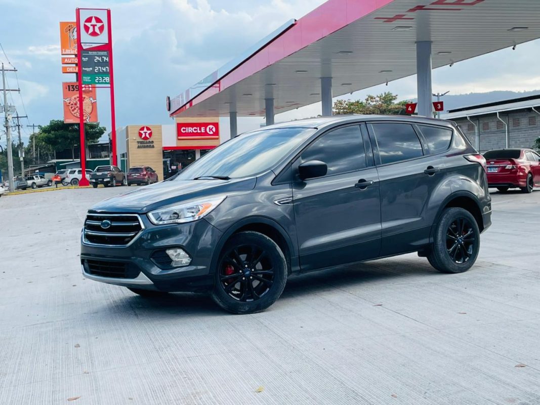 WhatsApp Image 2026-03-12 at 2.52.59 PM (1)