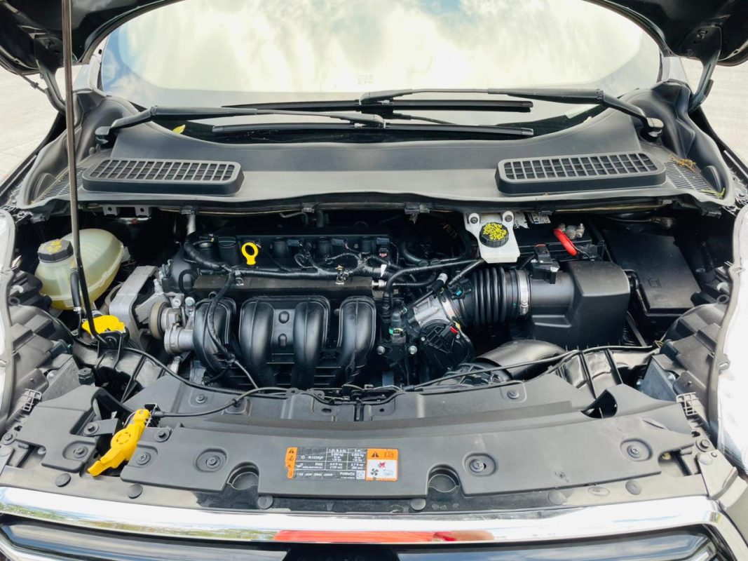 WhatsApp Image 2026-03-12 at 2.52.59 PM