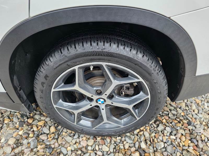 WhatsApp Image 2026-03-12 at 4.08.21 PM