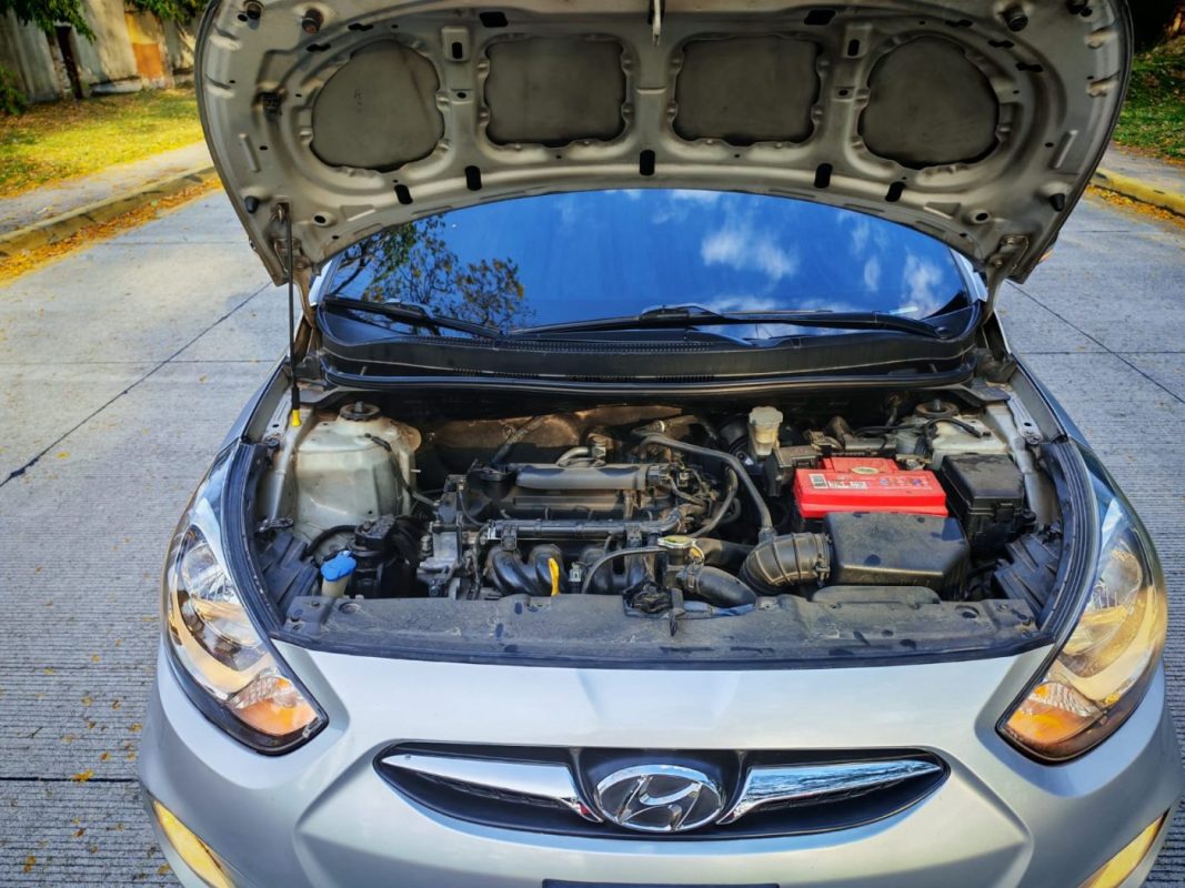 WhatsApp Image 2026-03-12 at 5.02.21 PM (1)