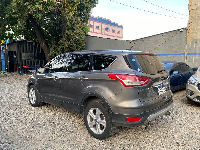 WhatsApp Image 2026-03-12 at 6.45.09 PM (1)