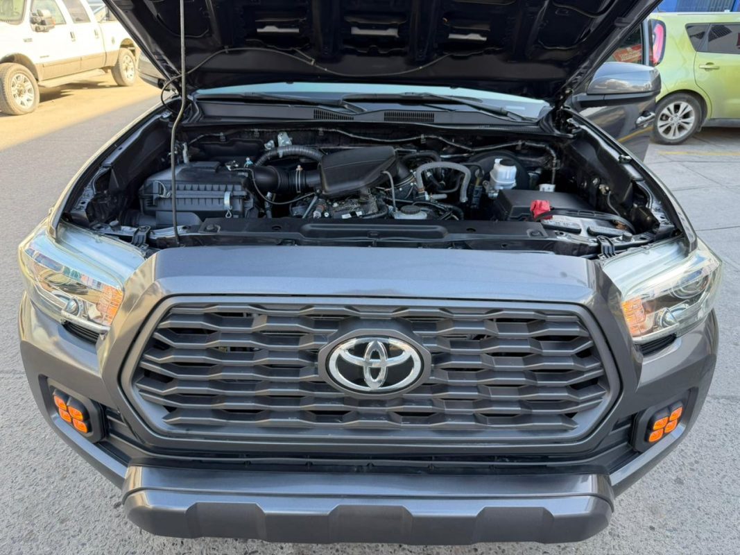 WhatsApp Image 2026-03-12 at 8.07.47 AM (1)