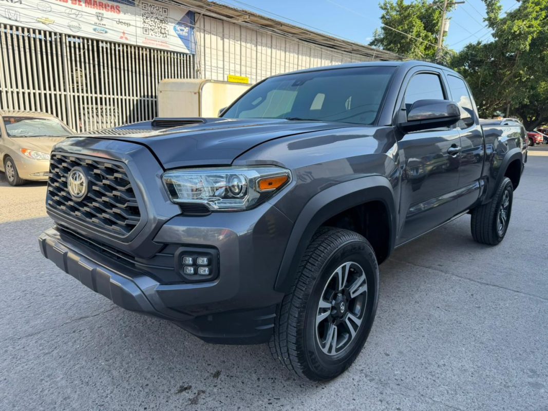 WhatsApp Image 2026-03-12 at 8.07.48 AM