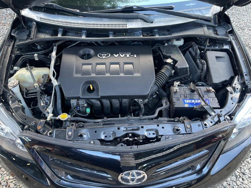 WhatsApp Image 2026-03-12 at 9.55.01 PM