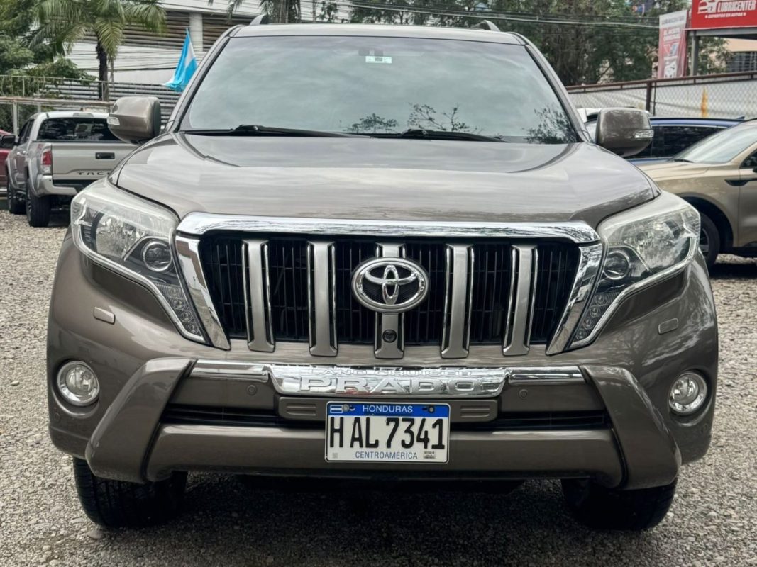 WhatsApp Image 2026-03-13 at 10.42.43 AM (1)