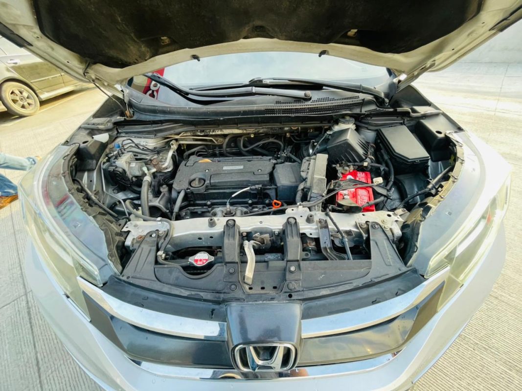 WhatsApp Image 2026-03-14 at 1.30.34 PM (4)